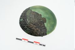 Foto von Bronzetutulusscheibenfibel (NHMW-PRAE-025122)